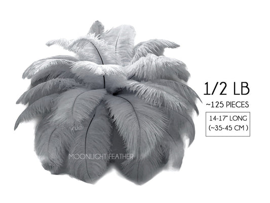 1/2 lb. - 14-17" Silver Gray Ostrich Large Body Drab Wholesale Feathers (Bulk)