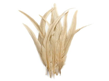 2 yards - 14-16" Natural Ivory Strung Bleached Accent Feathers for Wedding Backdrops & Arches