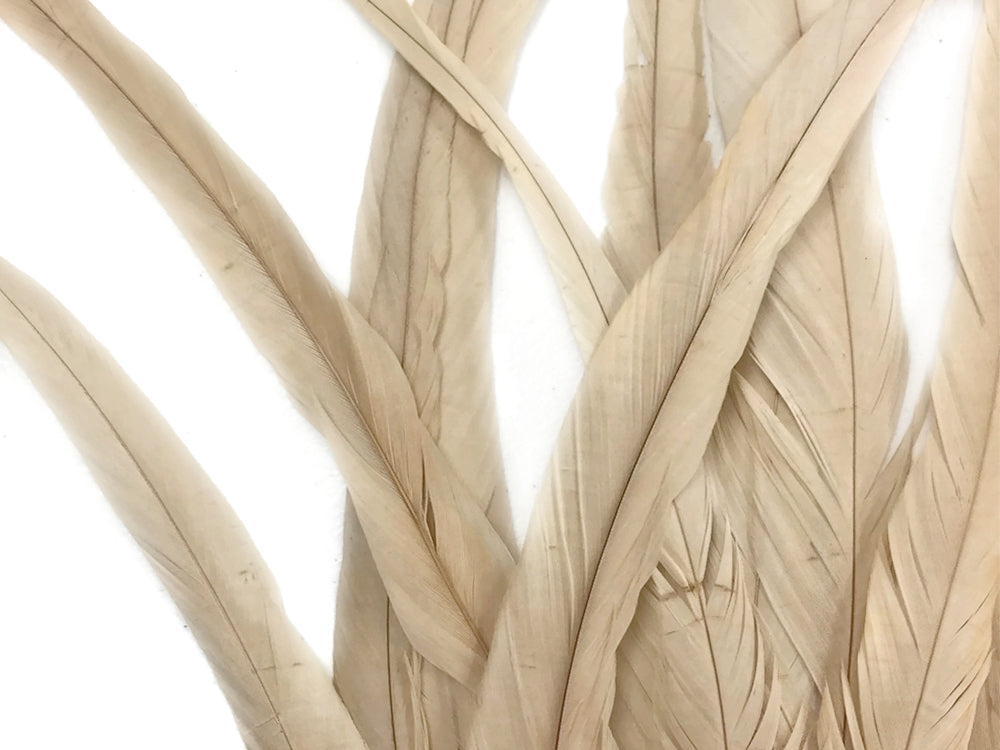 14-16" Natural Inch Strip Ivory Accent Feathers for Wedding Centerpieces