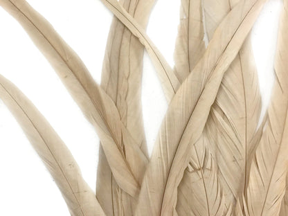 14-16" Natural Inch Strip Ivory Accent Feathers for Wedding Centerpieces