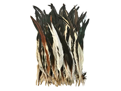 10 pieces - 16-18" Natural Brown Cream Mix Accent Feathers for Wedding Bouquets & Boutonnieres
