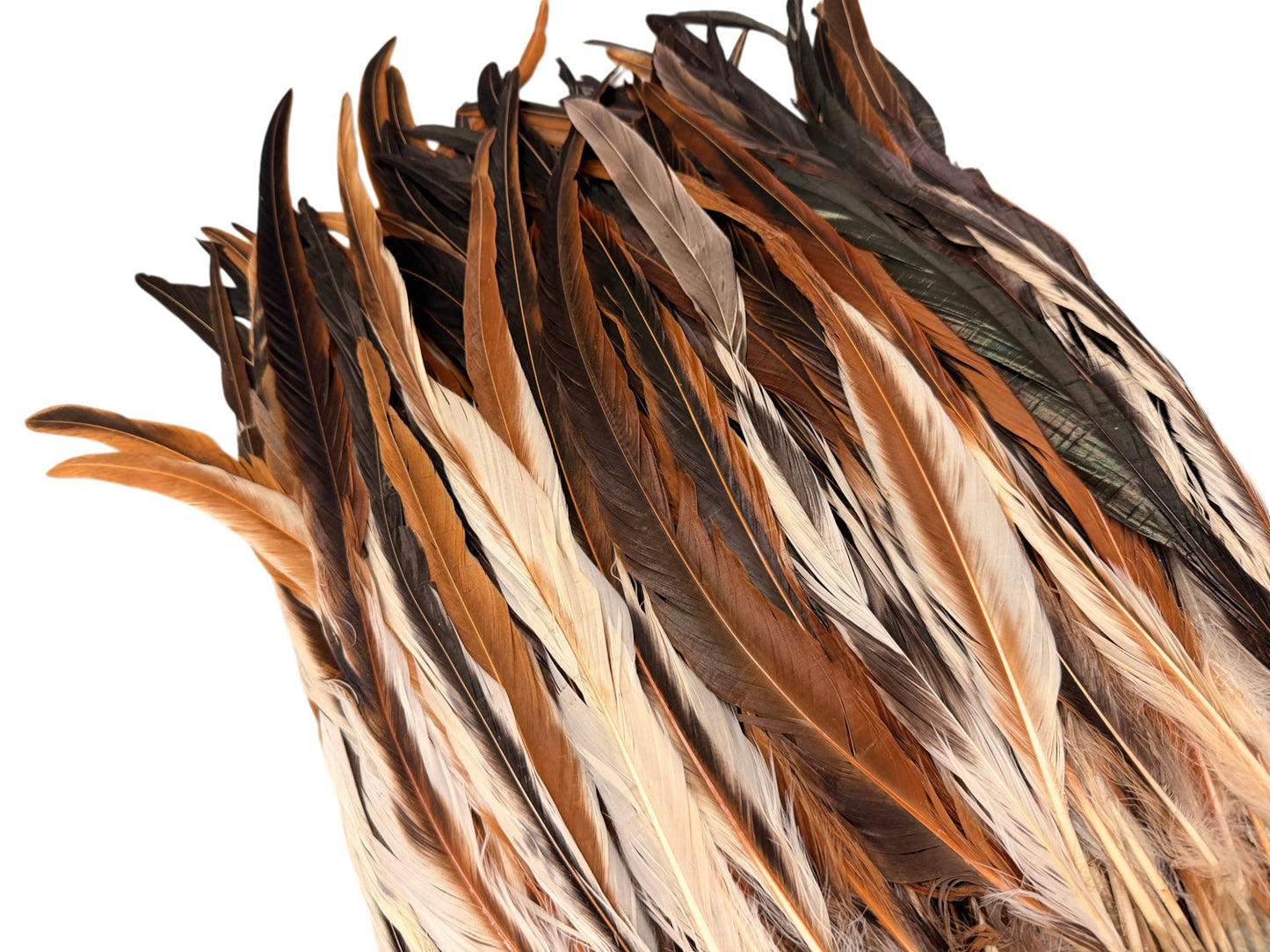 8 lb - 16-18" Natural Brown Cream Mix Accent Feathers for Wedding Backdrops & Arches