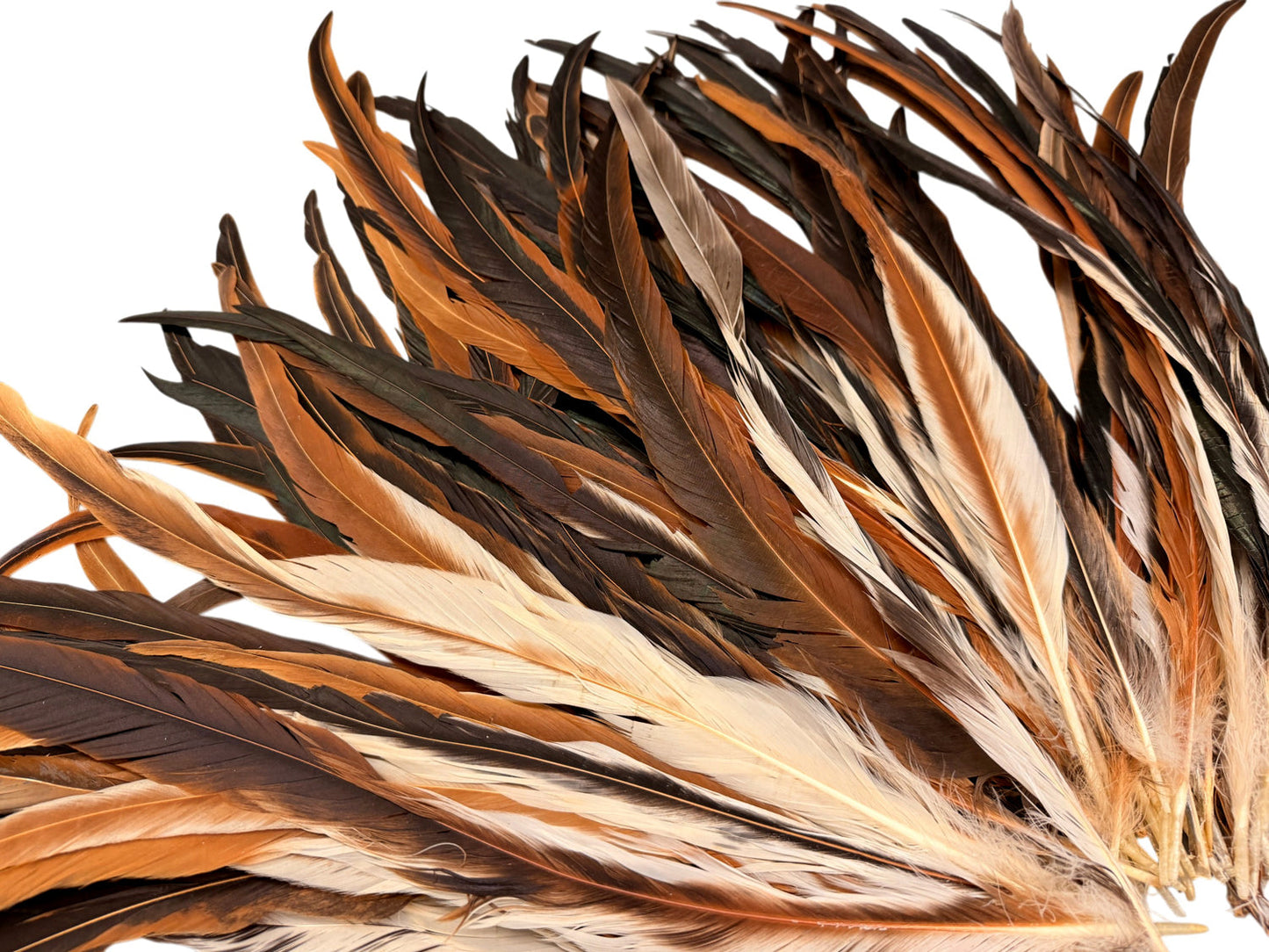 10 pieces - 16-18" Natural Brown Cream Mix Accent Feathers for Wedding Bouquets & Boutonnieres