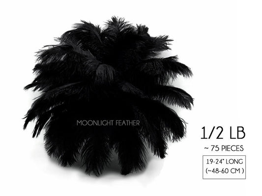 1/2 Lb. - 19-24" Black Ostrich Extra Long Drab Wholesale Feathers (Bulk)