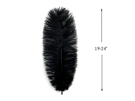 10 Pieces - 19-24" Black Ostrich Dyed Drabs Body Feathers