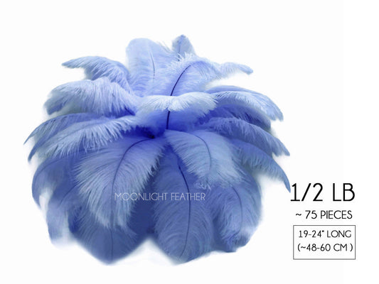 1/2 Lb. - 19-24" Light Blue Ostrich Extra Long Drab Wholesale Feathers (Bulk)