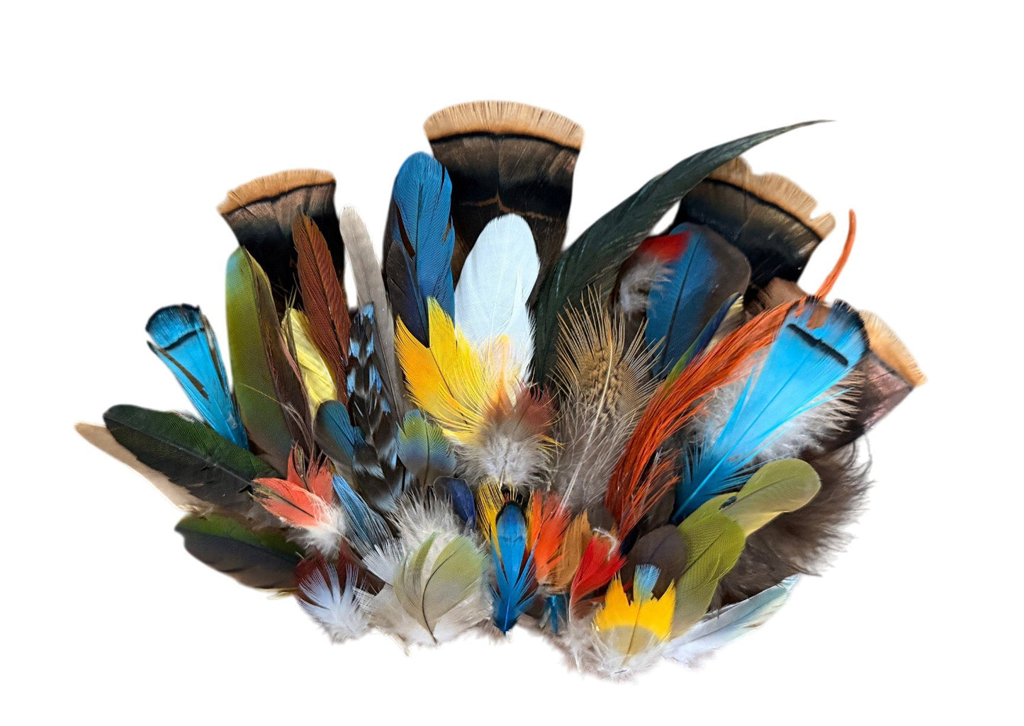 Collection Mix Random Accent Feathers for Wedding Backdrops & Arches