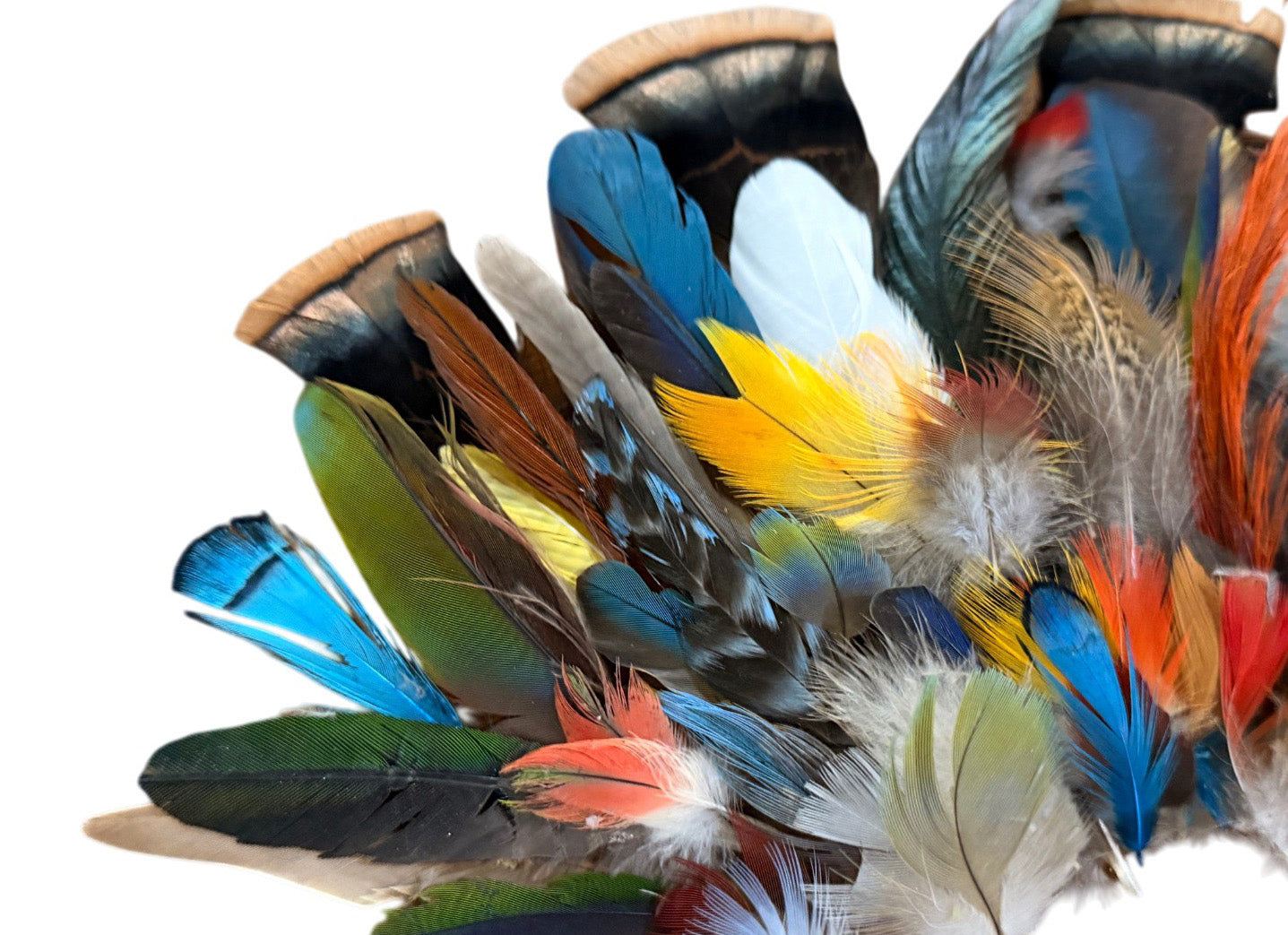 Collection Mix Random Accent Feathers for Wedding Backdrops & Arches