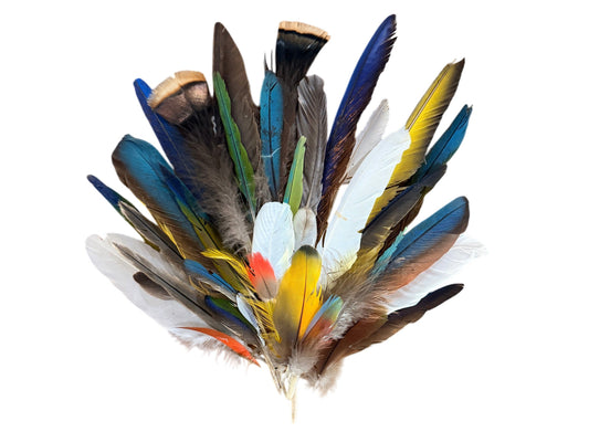 Collection Mix Random Accent Feathers for Wedding Backdrops & Arches