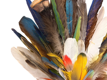 Collection Mix Random Accent Feathers for Wedding Backdrops & Arches