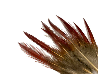 10 pieces - 4-6" Natural Red Golden Red Accent Feathers for Wedding Bouquets & Boutonnieres