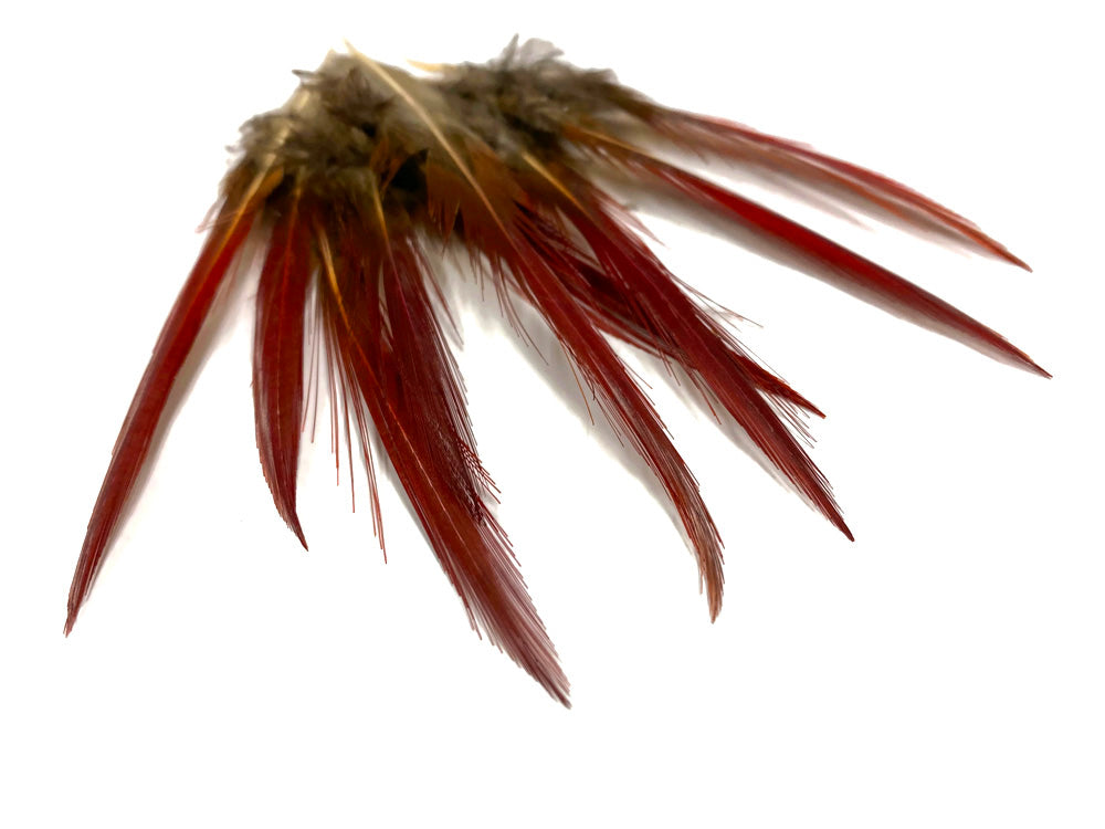 10 pieces - 4-6" Natural Red Golden Red Accent Feathers for Wedding Bouquets & Boutonnieres
