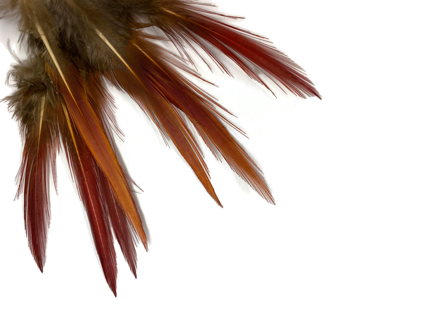 10 pieces - 4-6" Natural Red Golden Red Accent Feathers for Wedding Bouquets & Boutonnieres