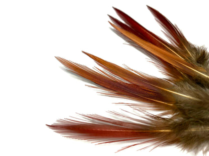 10 pieces - 4-6" Natural Red Golden Red Accent Feathers for Wedding Bouquets & Boutonnieres