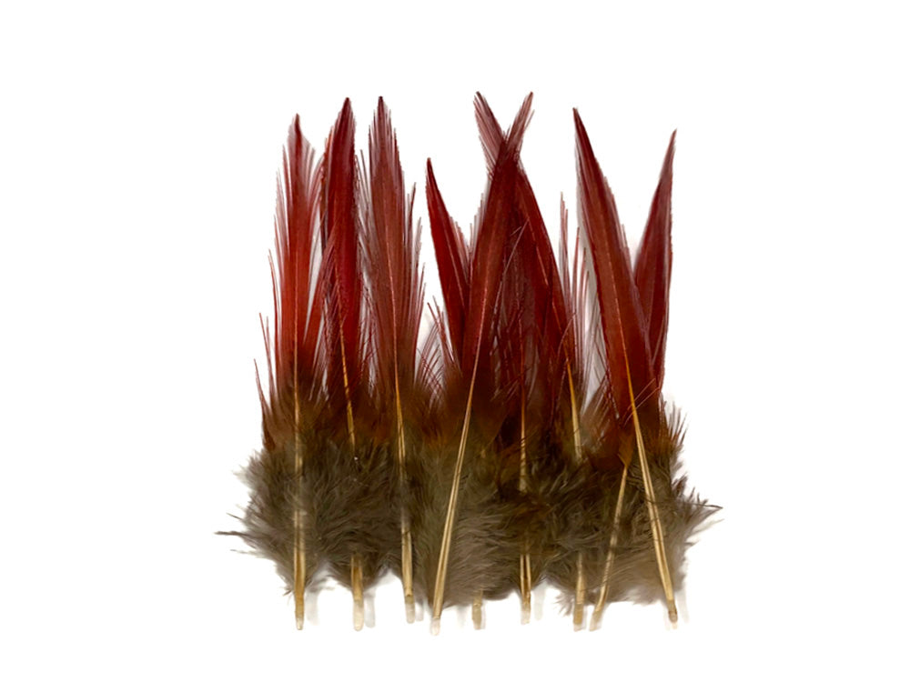 10 pieces - 4-6" Natural Red Golden Red Accent Feathers for Wedding Bouquets & Boutonnieres