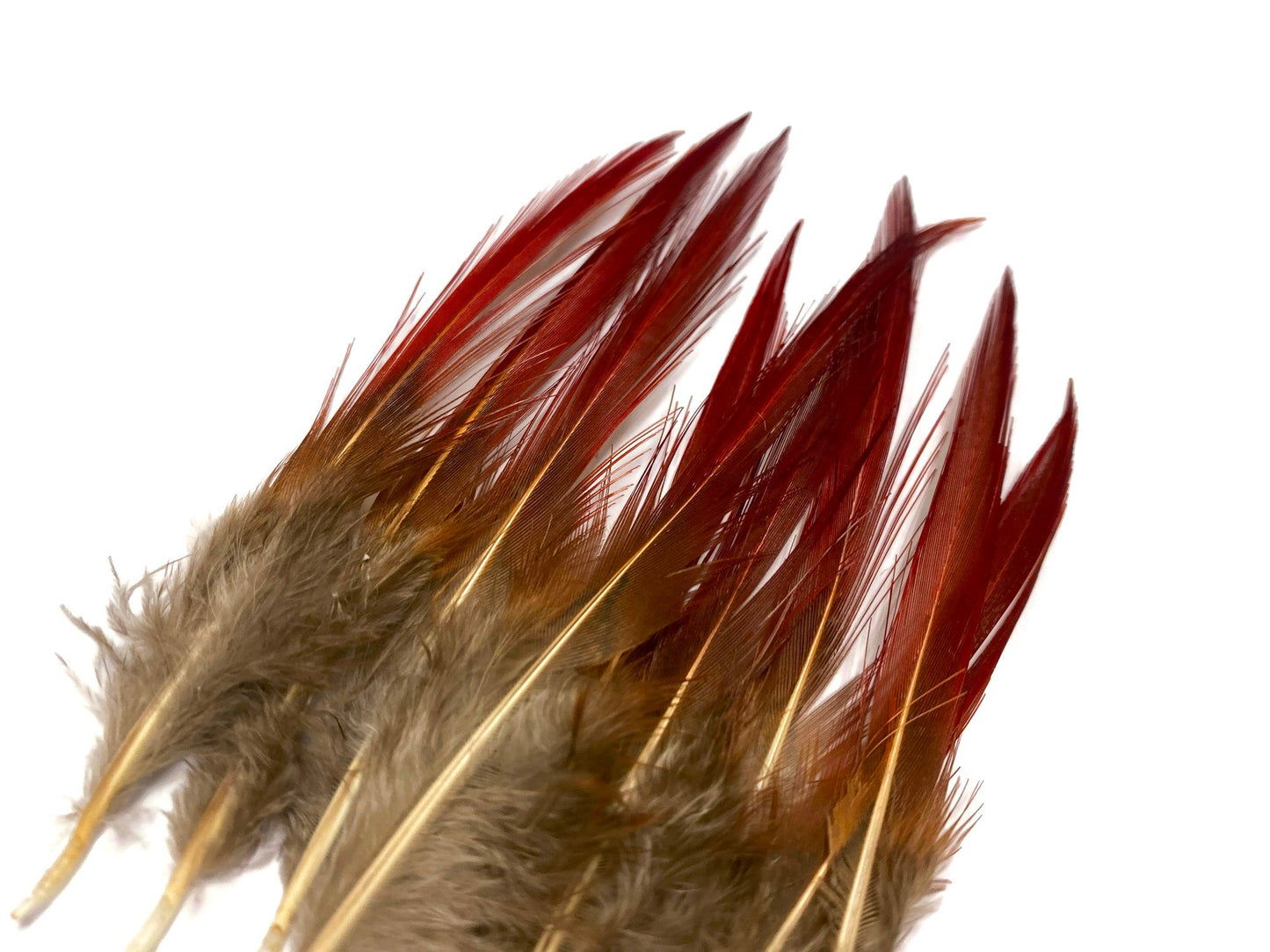 10 pieces - 4-6" Natural Red Golden Red Accent Feathers for Wedding Bouquets & Boutonnieres