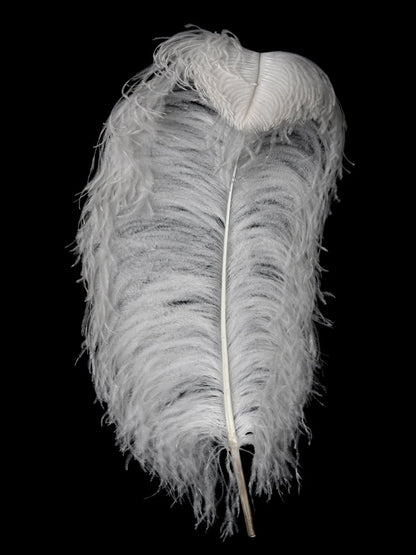 A half pound - 18-24" White Prime Grade Large Ostrich Feathers for Wedding Backdrops & Arches