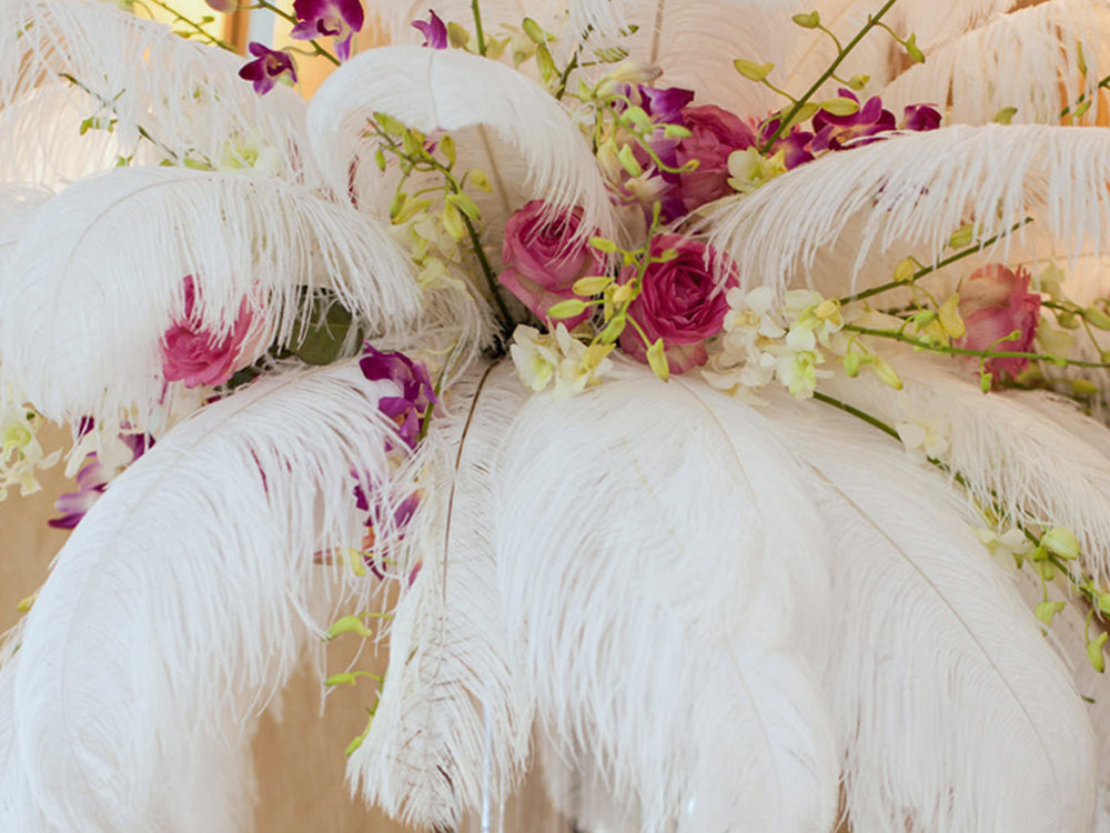 A half pound - 18-24" White Prime Grade Large Ostrich Feathers for Wedding Backdrops & Arches
