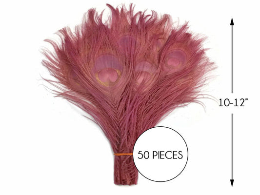 50 Pieces – Taupe Bleached & Dyed Peacock Tail Eye Wholesale Feathers (Bulk) 10-12” Long 