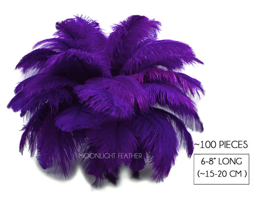 100 Pieces - 6-8" Purple Wholesale Ostrich Drabs Feathers (Bulk)