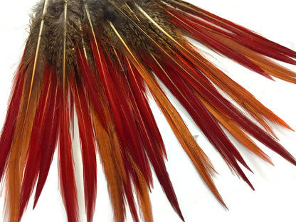 10 pieces - 8-10" Natural Red Golden Red Accent Feathers for Wedding Bouquets & Boutonnieres