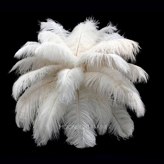 A half pound - 14-17" White Off Large Body Ostrich Feathers for Wedding Backdrops & Arches