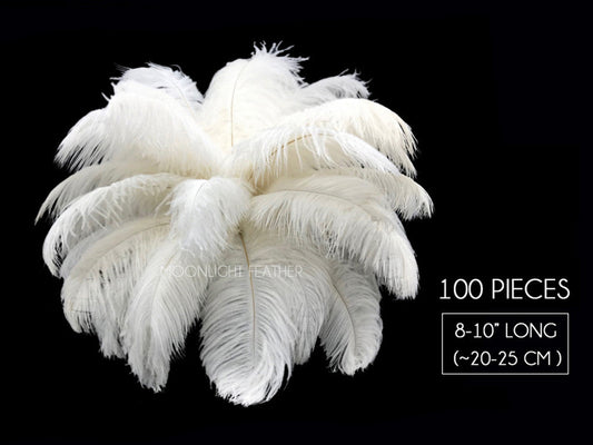 100 Pieces - 8-10" Bleached Off White Ostrich Drab Body Wholesale Feathers (Bulk)