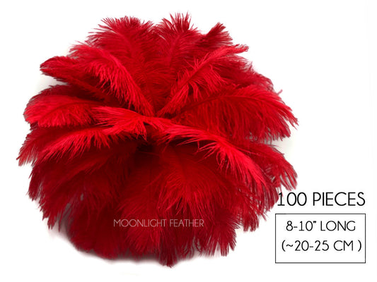100 Pieces - 8-10" Red Ostrich Dyed Drab Body Wholesale Feathers (Bulk)
