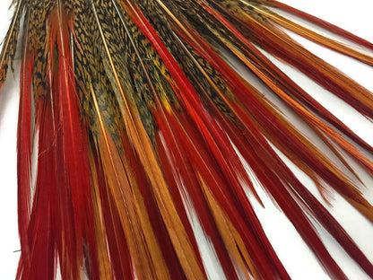 10 pieces - 6-8" Natural Red Golden Red Accent Feathers for Wedding Bouquets & Boutonnieres