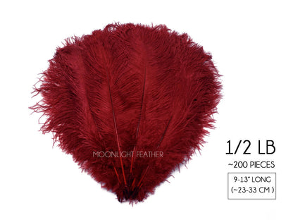 1/2 Lb. - 9-13" Burgundy Dyed Ostrich Body Drab Wholesale Feathers (Bulk)
