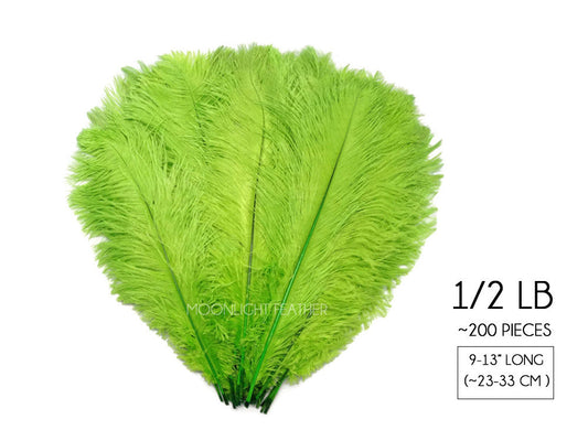 1/2 Lb. - 9-13" Lime Green Dyed Ostrich Body Drab Wholesale Feathers (Bulk)
