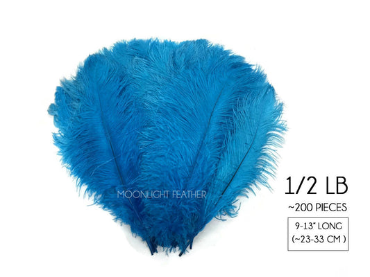 1/2 Lb. - 9-13" Turquoise Blue Dyed Ostrich Body Drab Wholesale Feathers (Bulk)