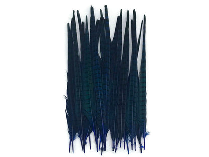 50 pieces - 18-22" Natural Blue Dyed Over Accent Feathers for Wedding Backdrops & Arches