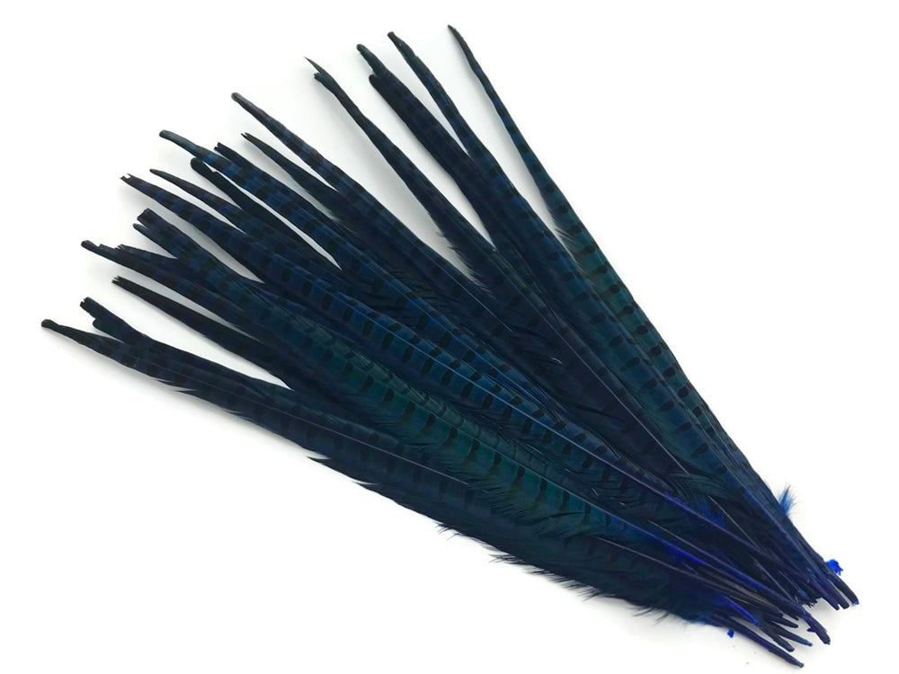 50 pieces - 18-22" Natural Blue Dyed Over Accent Feathers for Wedding Backdrops & Arches