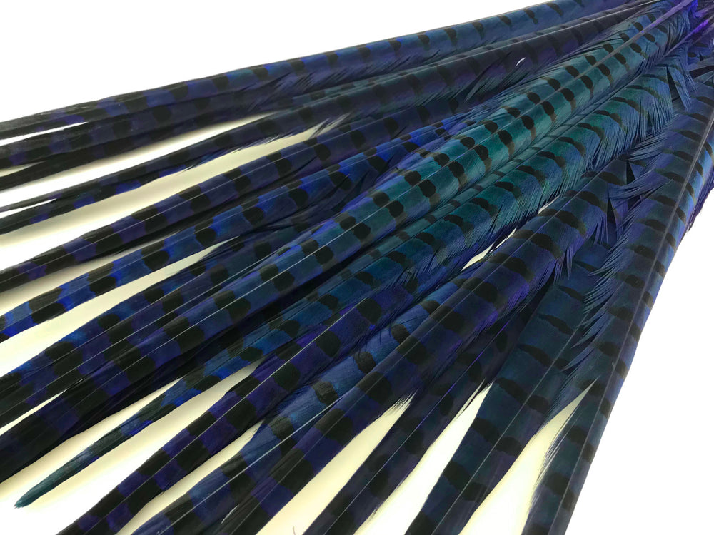 10 pieces - 18-22" Natural Blue Dyed Over Accent Feathers for Wedding Centerpieces