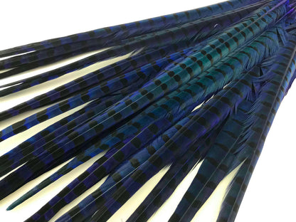 10 pieces - 18-22" Natural Blue Dyed Over Accent Feathers for Wedding Centerpieces