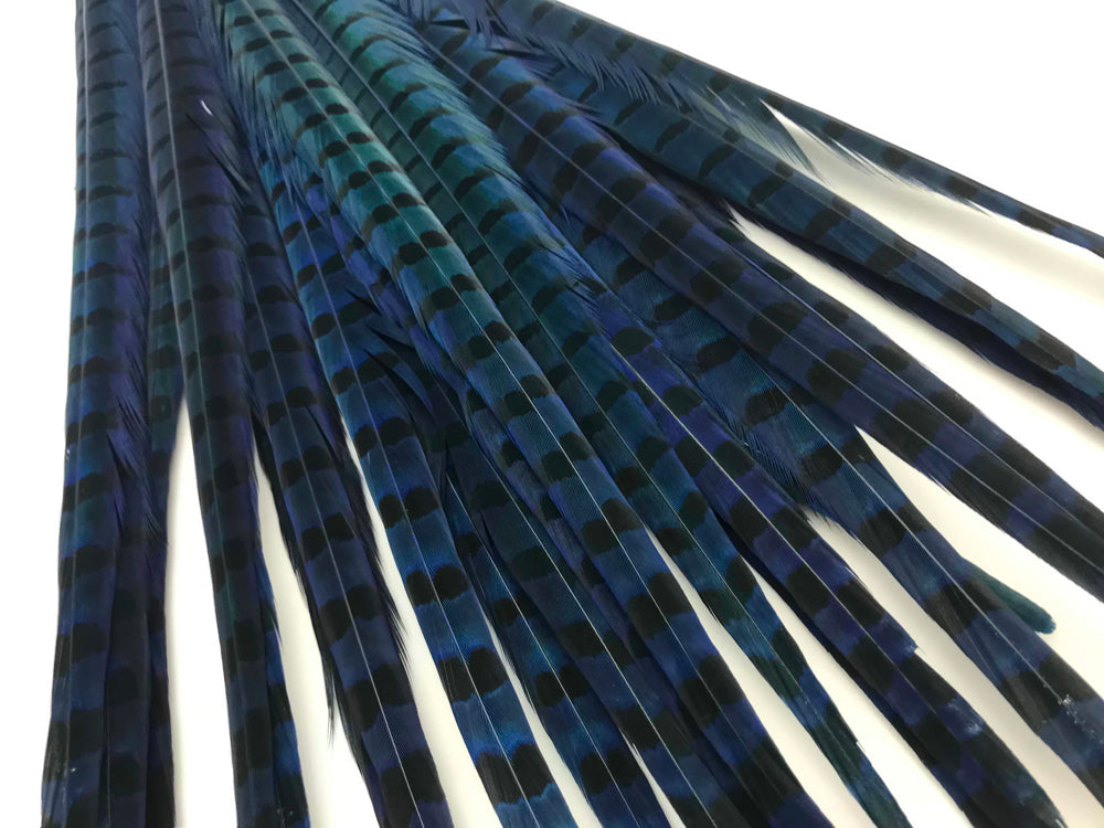 10 pieces - 18-22" Natural Blue Dyed Over Accent Feathers for Wedding Centerpieces