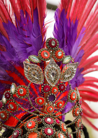 50 pieces - 18-22" Burgundy Bleached Dyed Ringneck Accent Feathers for Wedding Backdrops & Arches