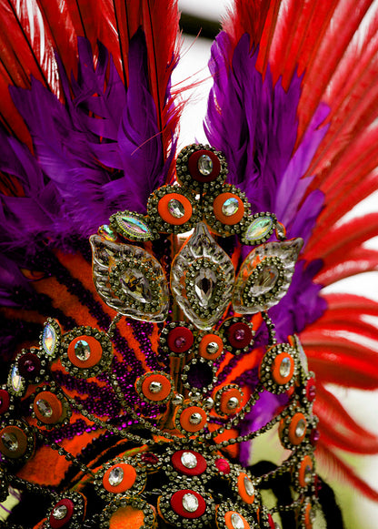 50 pieces - 18-22" Red Bleached Dyed Ringneck Accent Feathers for Wedding Backdrops & Arches