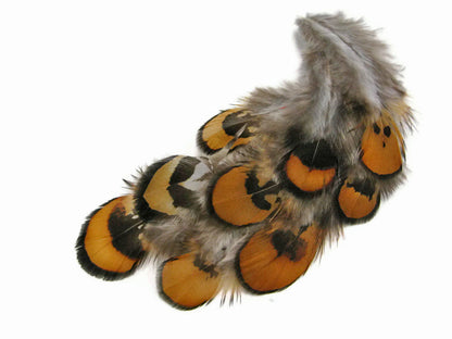 10 oz - Yellow Pack Golden Reeves Accent Feathers for Wedding Centerpieces