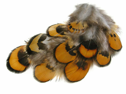 10 oz - Yellow Pack Golden Reeves Accent Feathers for Wedding Centerpieces