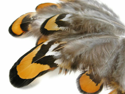 10 oz - Yellow Pack Golden Reeves Accent Feathers for Wedding Centerpieces