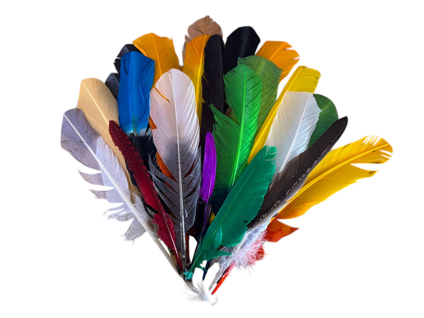 Collection Mix Random Accent Feathers for Wedding Backdrops & Arches