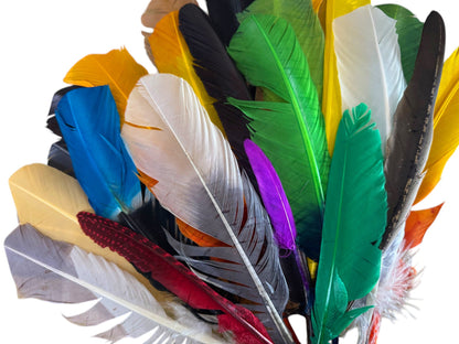 Collection Mix Random Accent Feathers for Wedding Backdrops & Arches