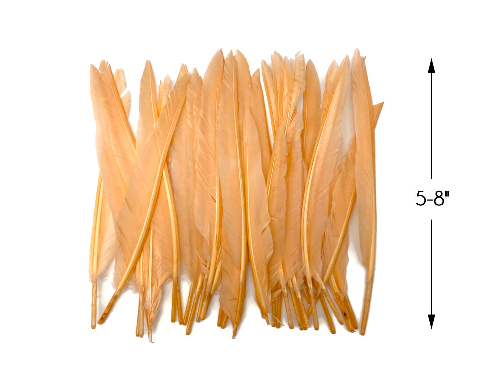 A quarter pound - Champagne Pointer Primary Wing Accent Feathers for Wedding Backdrops & Arches
