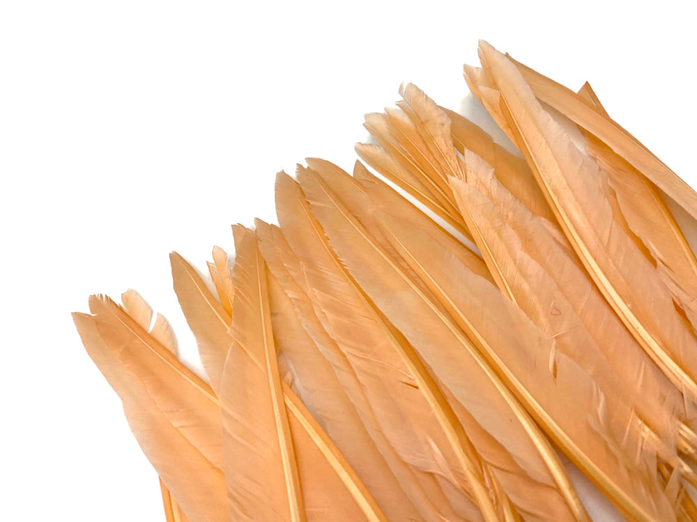 A quarter pound - Champagne Pointer Primary Wing Accent Feathers for Wedding Backdrops & Arches