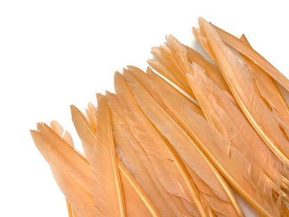A quarter pound - Champagne Pointer Primary Wing Accent Feathers for Wedding Backdrops & Arches