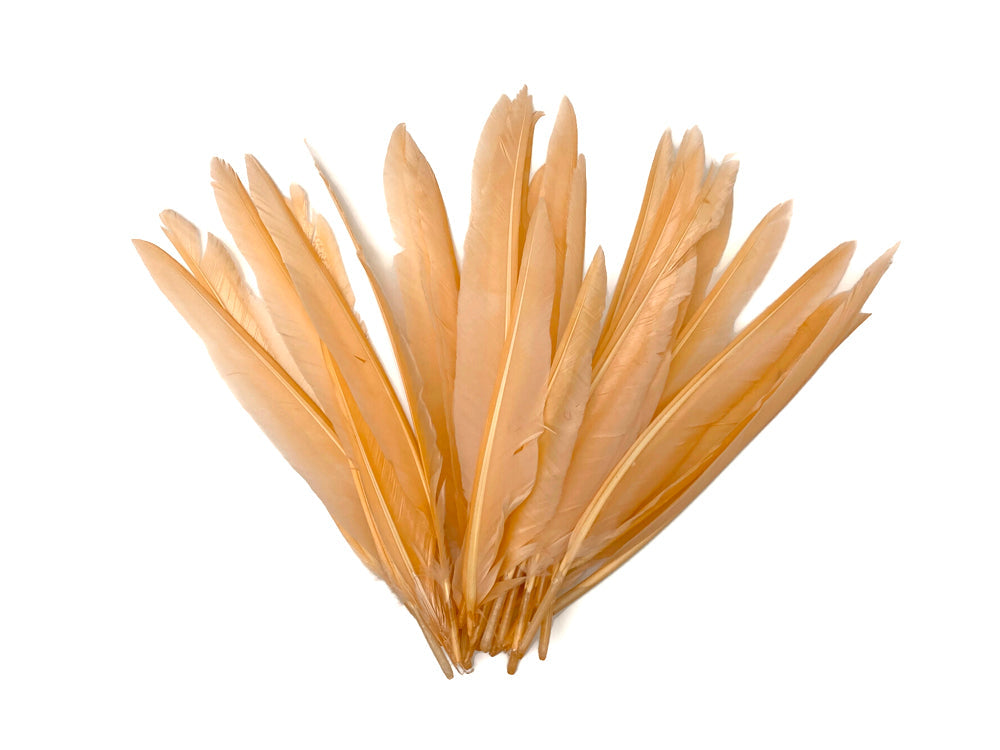 50 oz - Champagne Pack Primary Wing Accent Feathers for Wedding Centerpieces