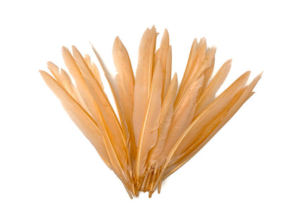 50 oz - Champagne Pack Primary Wing Accent Feathers for Wedding Centerpieces