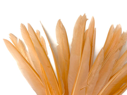 A quarter pound - Champagne Pointer Primary Wing Accent Feathers for Wedding Backdrops & Arches